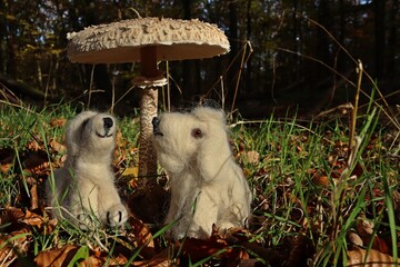 Zwei nadelgefilzte Goldendoodle aus Hundehaaren unter Riesenschirmling