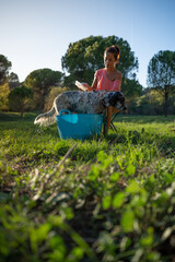 Caucasian woman bathing her dog in the garden on a sunny day.
