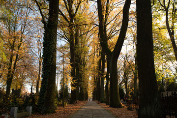 autumn in the park © Sieku Photo