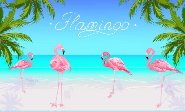 Panorama of a sunny summer day with pink flamingos standing on the shore of a tropical beach with white sand. Flamingo inscription on a clear blue sky. The green leaves of the coconut palm.