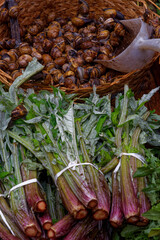Catania fish market: an unique sightworthy place