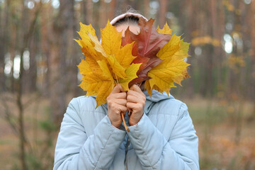 Indoor shot of unknown anonymous woman holding autumn leaf, covering her face with fan of colorful fall leaves, having fun in open air in beautiful park or forest.