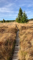 Herbst - Impressionen vom Hohen Venn
