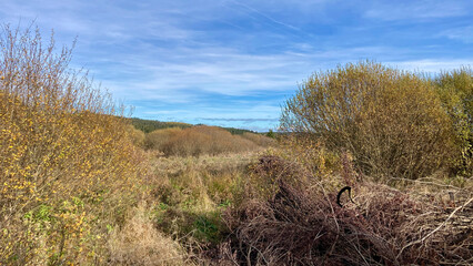Herbst - Impressionen vom Hohen Venn