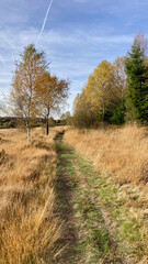 Herbst - Impressionen vom Hohen Venn