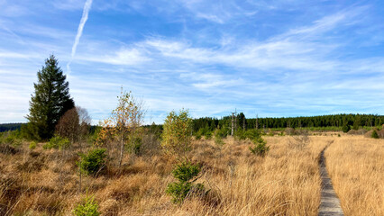 Herbst - Impressionen vom Hohen Venn