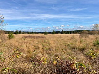Herbst - Impressionen vom Hohen Venn