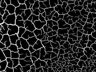 The cracks texture white and black. Vector background. Cracked earth. Structure of cracking.  