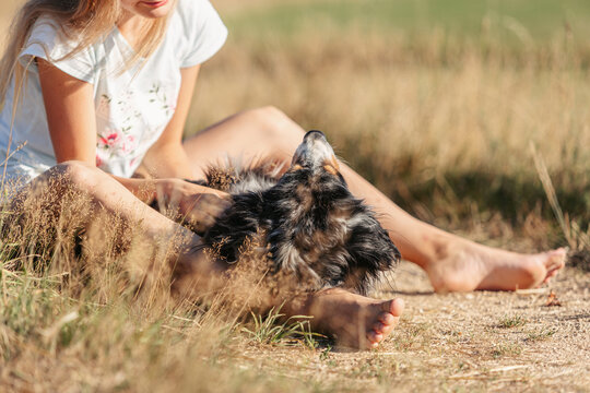 Friendship interaction scene between a young girl and her australian shepherd dog in summer outdoors