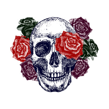 Human skull with roses. Color vector hand drawing for tattoo. The composition personifies death, psycho-esotericism, the state of hallucinations. Blooming skull