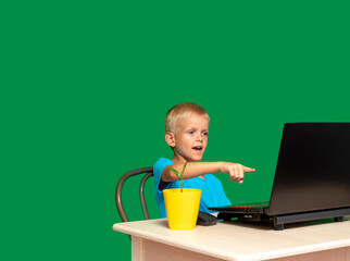 Boy points his finger at laptop screen. There is flower in pot on table. Green background with space for text. Selective focus. Picture for articles about children, education.