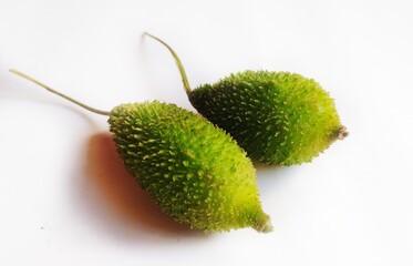 Spiny gourd in isolated background.
