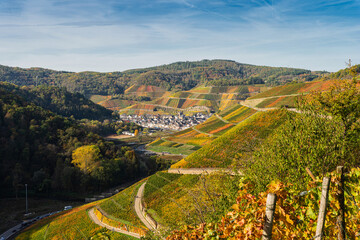 Weinberge bei Dernau an der Ahr im Goldenen Oktober 2022