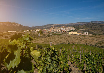 Gratallops village in Priorat in Catalonia, Spain. vineyard and winemaking in the mountains. sunny early autumn day