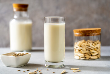 Sunflower milk in a glass and bottle, raw sunflower seeds on concrete grey background. 