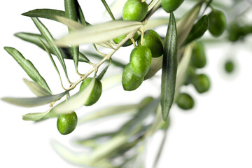 Green olives with a branch isolated on white