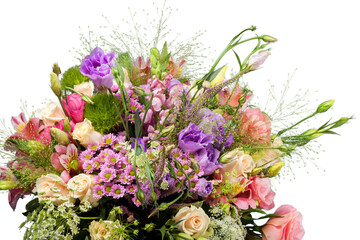 Beautiful pink roses on background