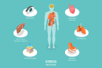 3D Isometric Flat Vector Conceptual Illustration of Stress Response, Fight or Flight Reaction © TarikVision
