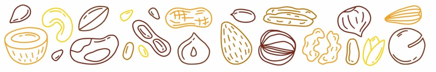 Horizontal illustration with nuts drawn by hand in the style of a doodle