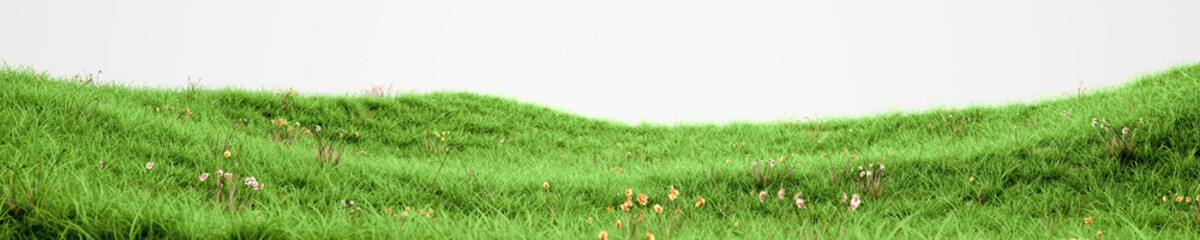 Green grass and flowers isolated on white background. Natural spring meadow panorama 3d rendering, farm valley landscape