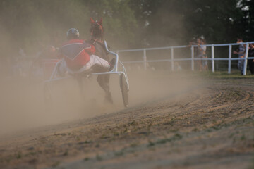 Horse and rider running  at horse races in the dust