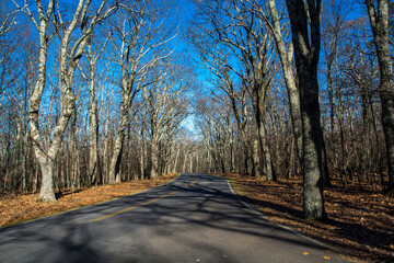Road in the Shenandoah. Deep autumn in the life