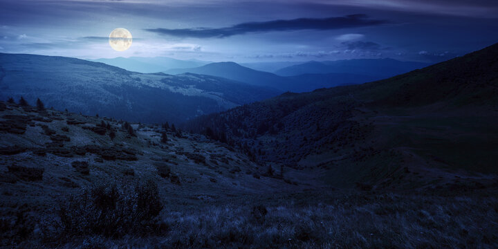 view in to the mountain valley at night. beautiful summer landscape of trascarpathia with forested hills and grassy alpine meadows in full moon light