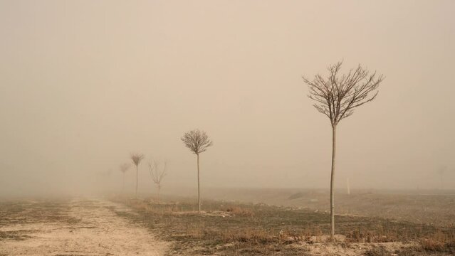 Strong winf and dust storm over dried out lands in Middle Anatolian region of Turkey.