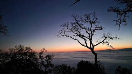 sunset over the clouds