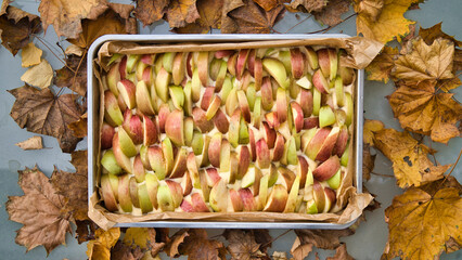Lecker frisch gebackener Apfelkochen mit Äpfeln frisch aus dem Herbstgarten