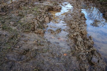 Obraz premium Braune Schlammlandschaft mit großen Wasserpfützen und Baumspiegelung am Morgen im Winter