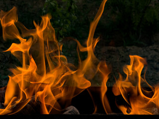 Red flames from a campfire on the background of nature.