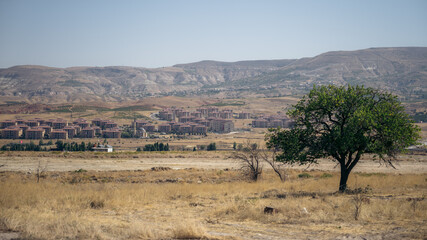 Fototapeta na wymiar Panorama mit einem Baum in der Landschaft