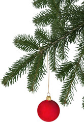 Fir tree branch with christmas bauble isolated on white background