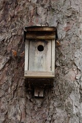 old bird house on a tree