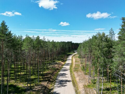 Aerial shot of a trail surrounded by pine trees in a park in Torva, Estonia