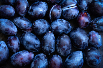 Ripe sweet blue plums background. Dark low key photo. Close-up, top down view. Summer fruit concept.