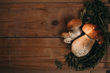 cooking fresh mushrooms organic food