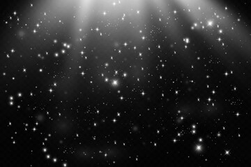 Particles of white magic dust. Shining light particles.Christmas glitter particles. Light effect on a transparent background.