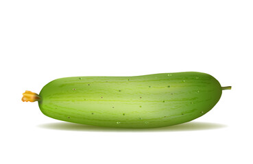 Cucumber is a vegetable as well as fresh healthy food and salad ingredient