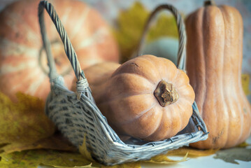 Orange pumpkin in a wicker basket in autumn.