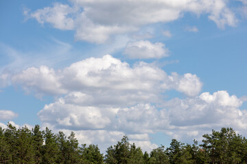 Forest and clouds in the blue sky.