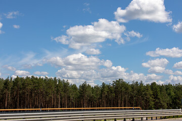 Fototapeta na wymiar Forest and clouds in the blue sky.