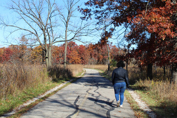 Fototapeta premium Woman walking on the North Branch Trail in autumn at Miami Woods in Morton Grove, Illinois