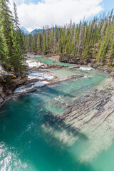 A beautiful emerald colored river in Yoho National park