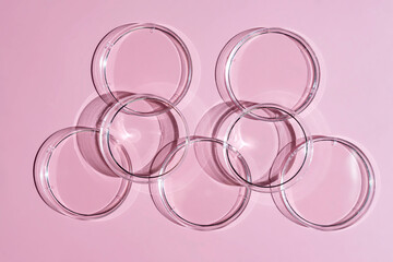 Empty petri dishes on pink background. top view and copy space. Concept laboratory tests and...