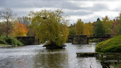 Autumn view of the park