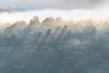 Fototapeta premium jeu d'ombre et de lumière sur la colline brumeuse