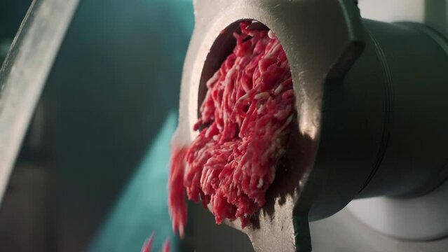 Close-up of minced meat falling out of meat grinder. Clip. Preparation of fresh raw minced meat scrolled through mincer. Mincer with stream of minced meat