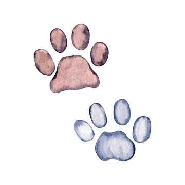 Cats colorful footprints. Watercolor hand drawn illustration isolated on  transparent.